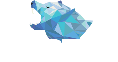 Iceberg